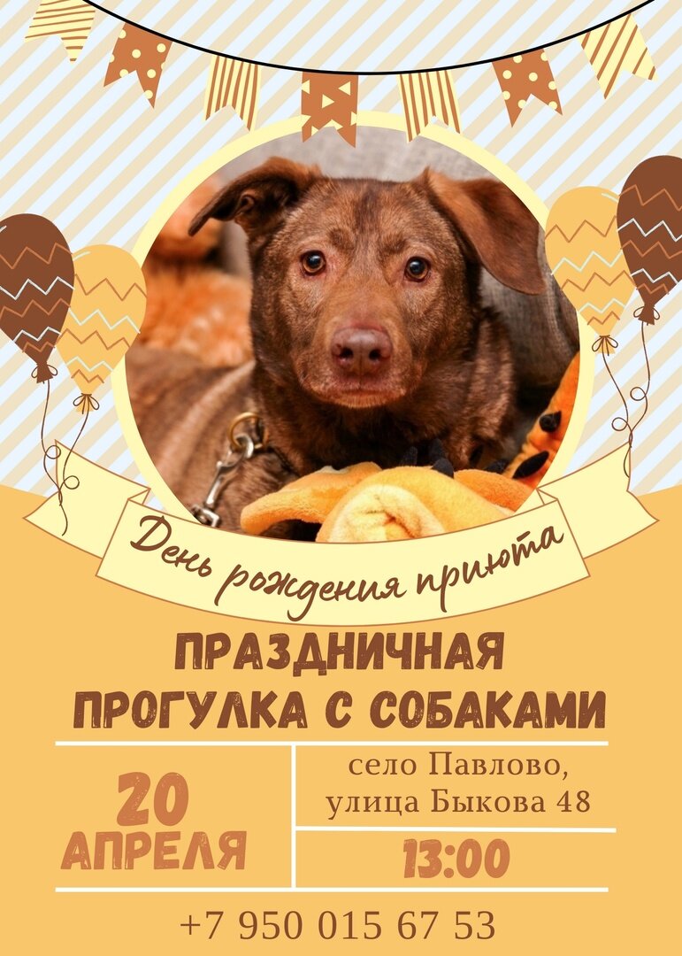 Приглашаем в гости