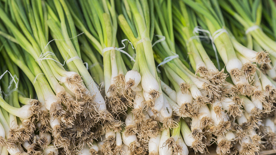     Источник здесь и далее: freepik.com (@dragana-gordic)