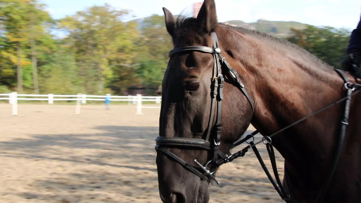     Источник: 1MI