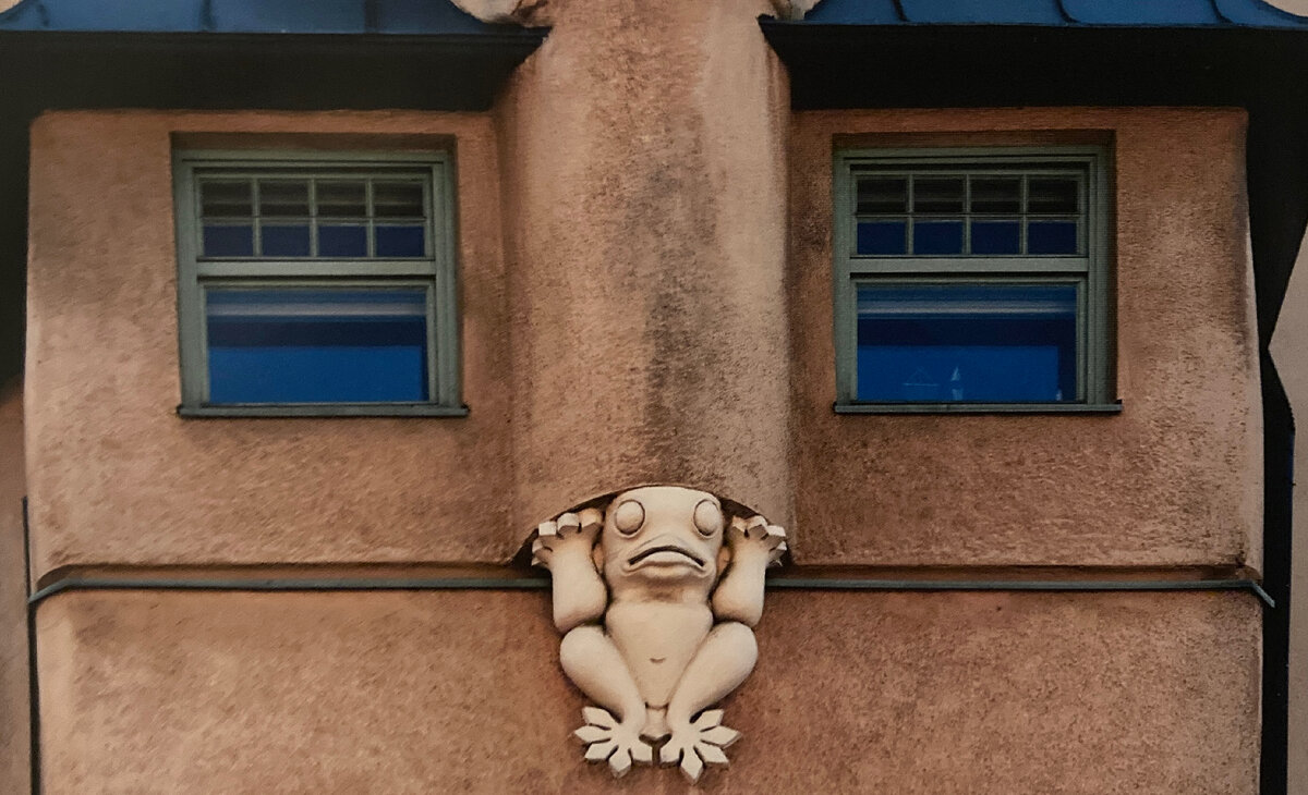 «Дом врачей» и его жаба. 