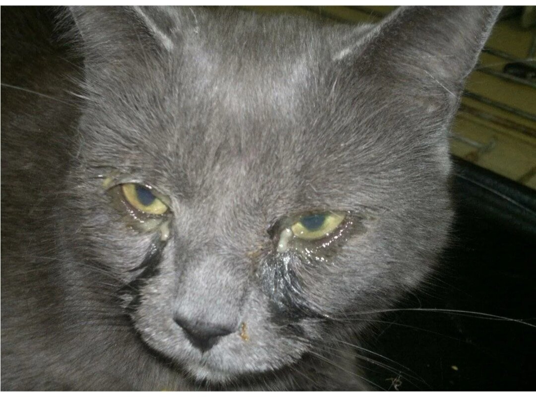 Фото из интернета