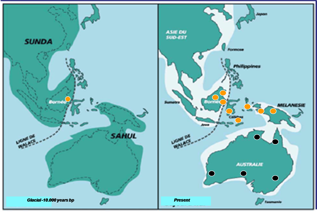 Давно и сегодня