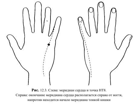 Традиционная китайская медицина. В мизинце проходят два энергетических канала. Во-первых, меридиан тонкой кишки, который начинается прямо под ногтем, со стороны, противоположной безымянному пальцу.