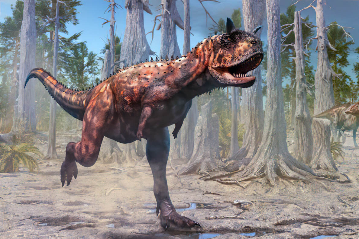 Карнотавр охотится. Фото взято из открытых источников.