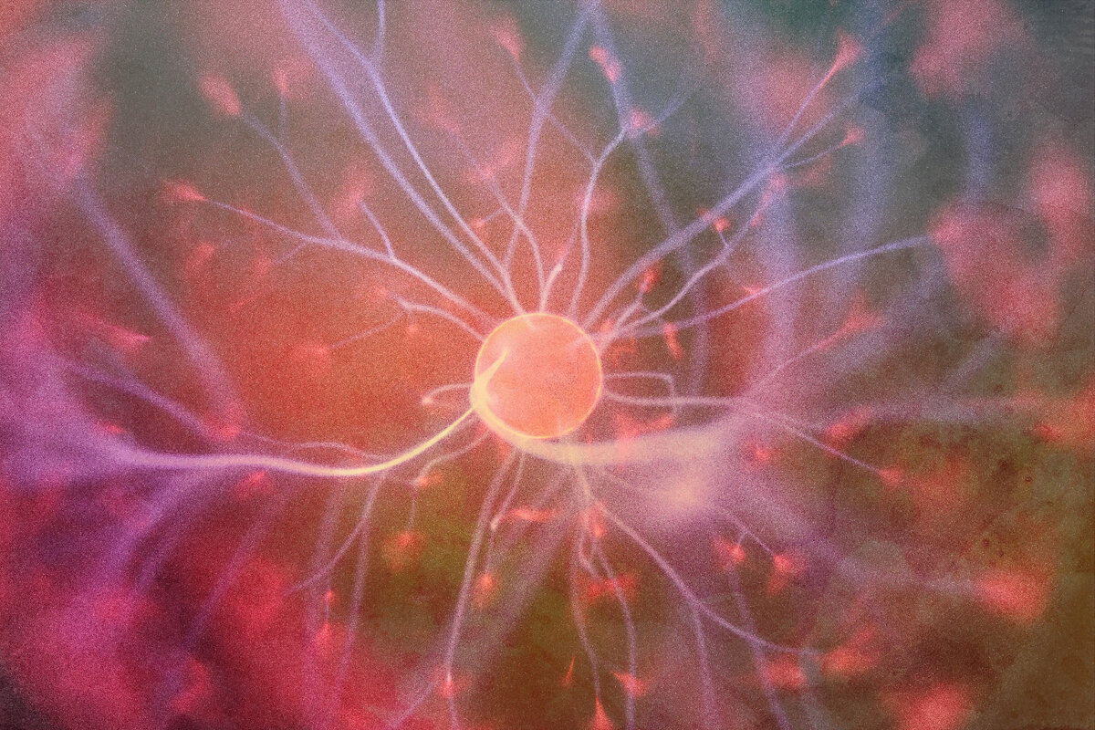 Фото не мое, коллаж мой