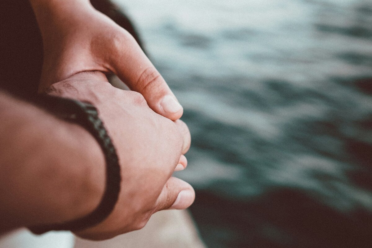     Без споров не обойдется: насколько совместимы Петух и Собака по восточному гороскопу