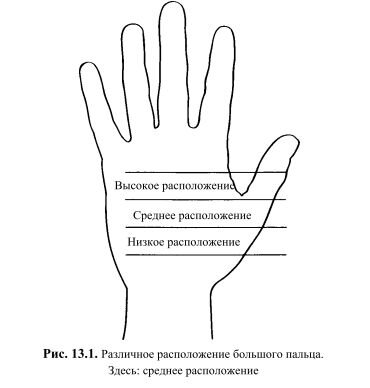 Большой палец отстоит от остальных, и его расположение может много рассказать о настроении человека. Расположение пальца может быть высоким, низким и средним (рис. 13.1).