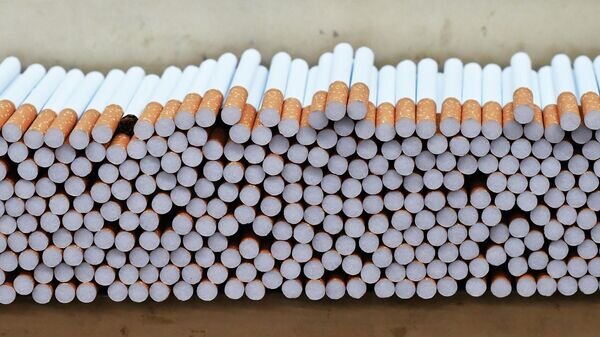    © Sputnik / Михаил Воскресенский