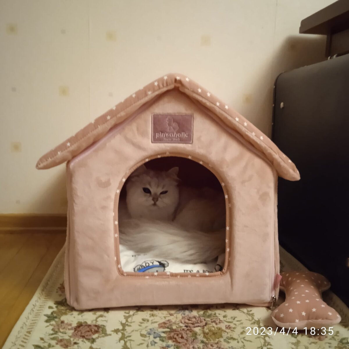 Джуля в домике