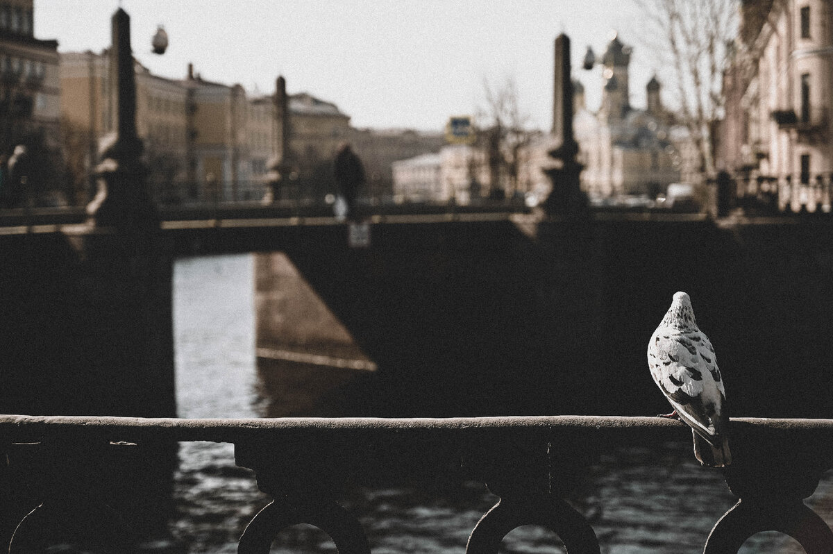 Семимостье - сюда приходят загадывать желания. 