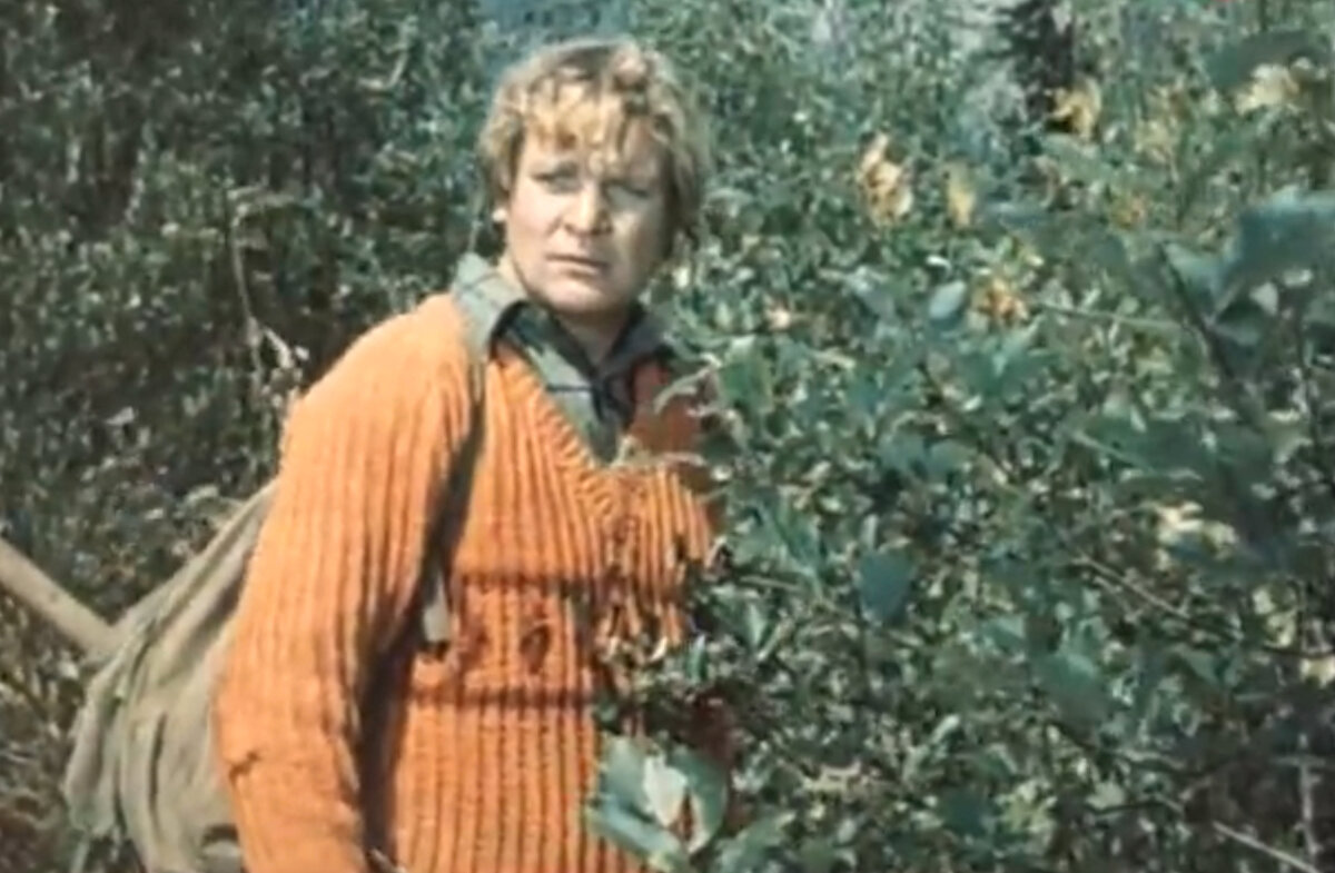 Кадр из кинофильма ""SOS" над тайгой", 1976 г., режиссеры Аркадий Кольцатый, Валентин Перов, сценаристы Арнольд Витоль, Владимир Кузнецов, композитор Никита Богословский (скриншот)