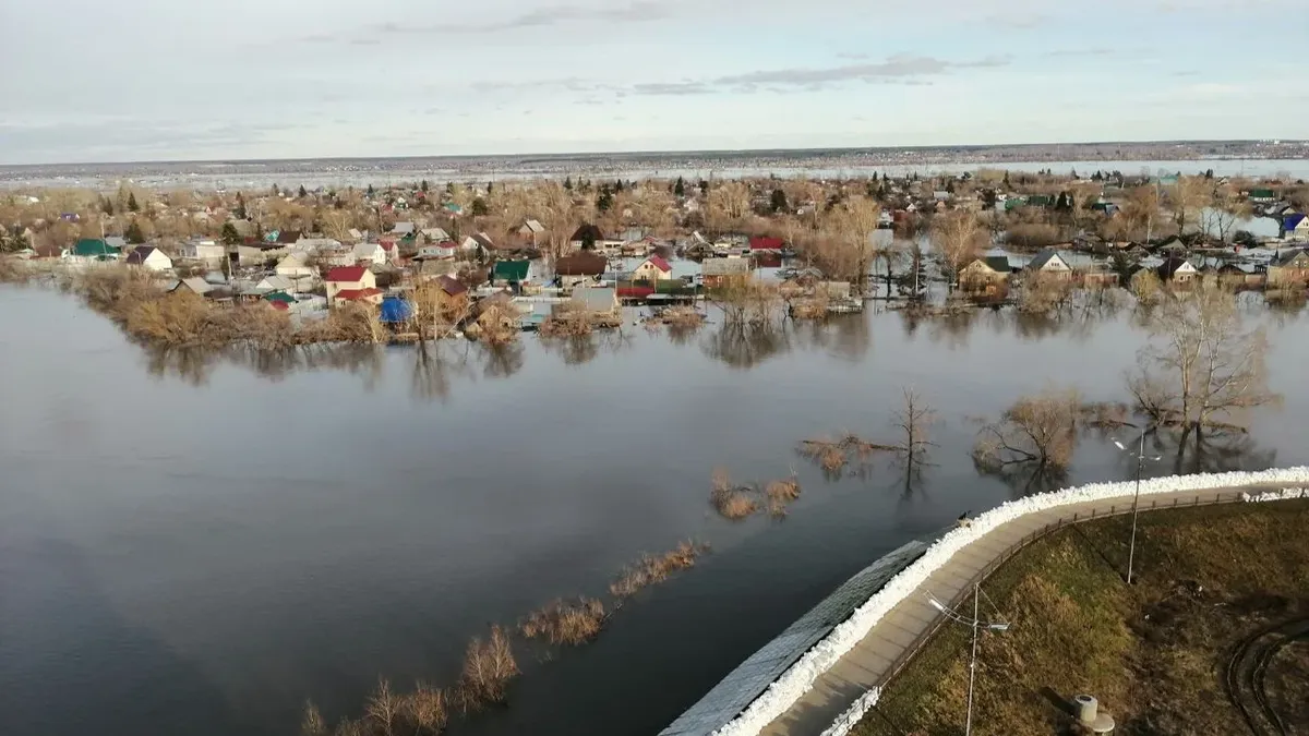 В Кургане близится пик сильнейшего за десятилетия паводка. Но глубинный  народ — по определению — не может бояться утопления | Куда идём? | Дзен