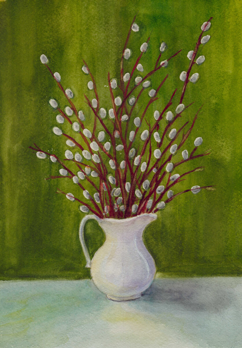 Верба. 2017 г.