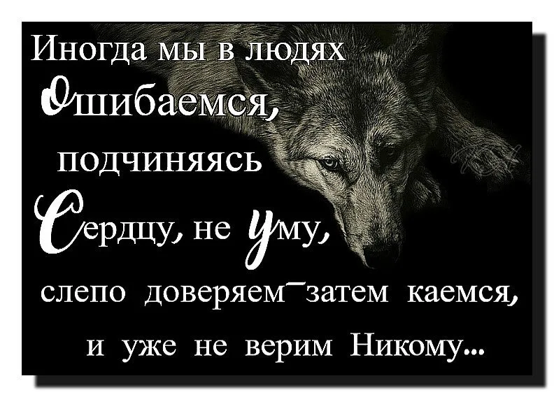 Никому нельзя любить. Не дверай не Кам цтаты. Не верь никому цитаты. Верить людям цитаты. Не доверяй никому цитаты.