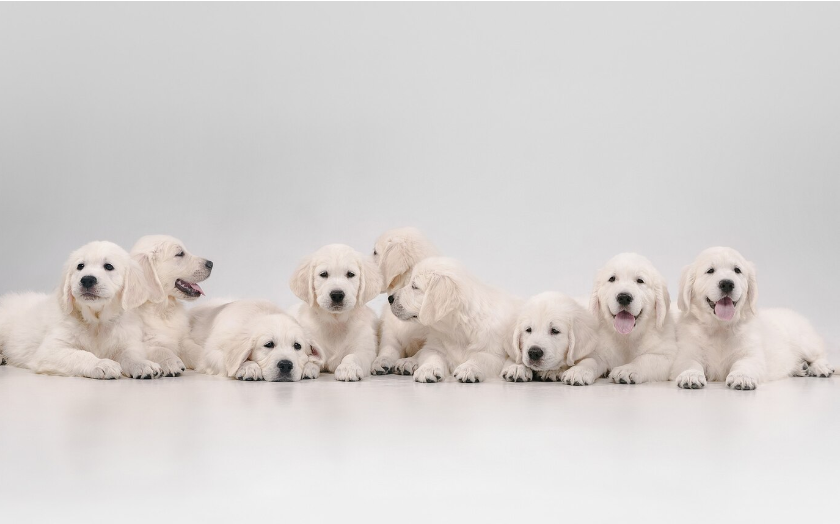 Источник фото: https://ru.freepik.com/popular-photos