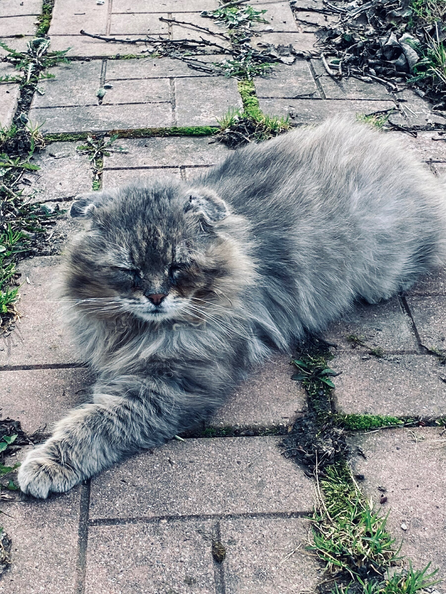 А ведь совсем недавно все было хорошо! Везде фото автора.