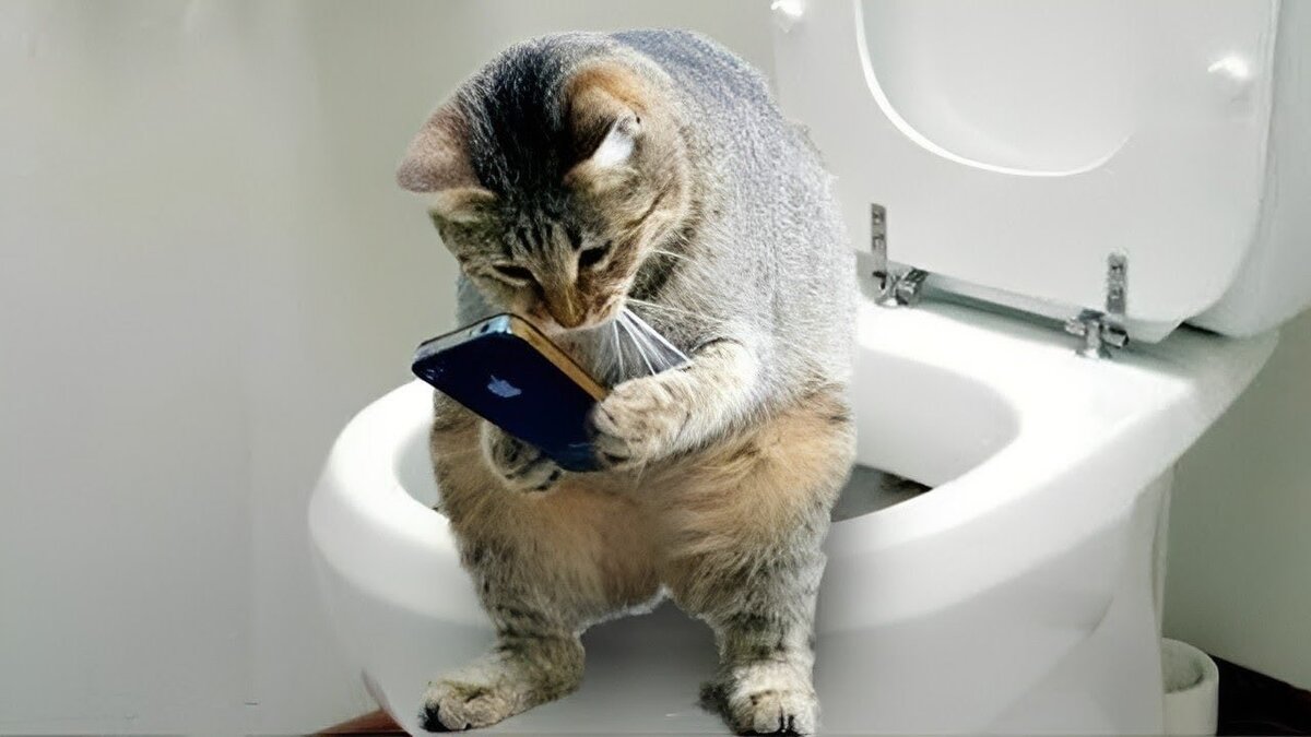 источник Яндекс-картинки