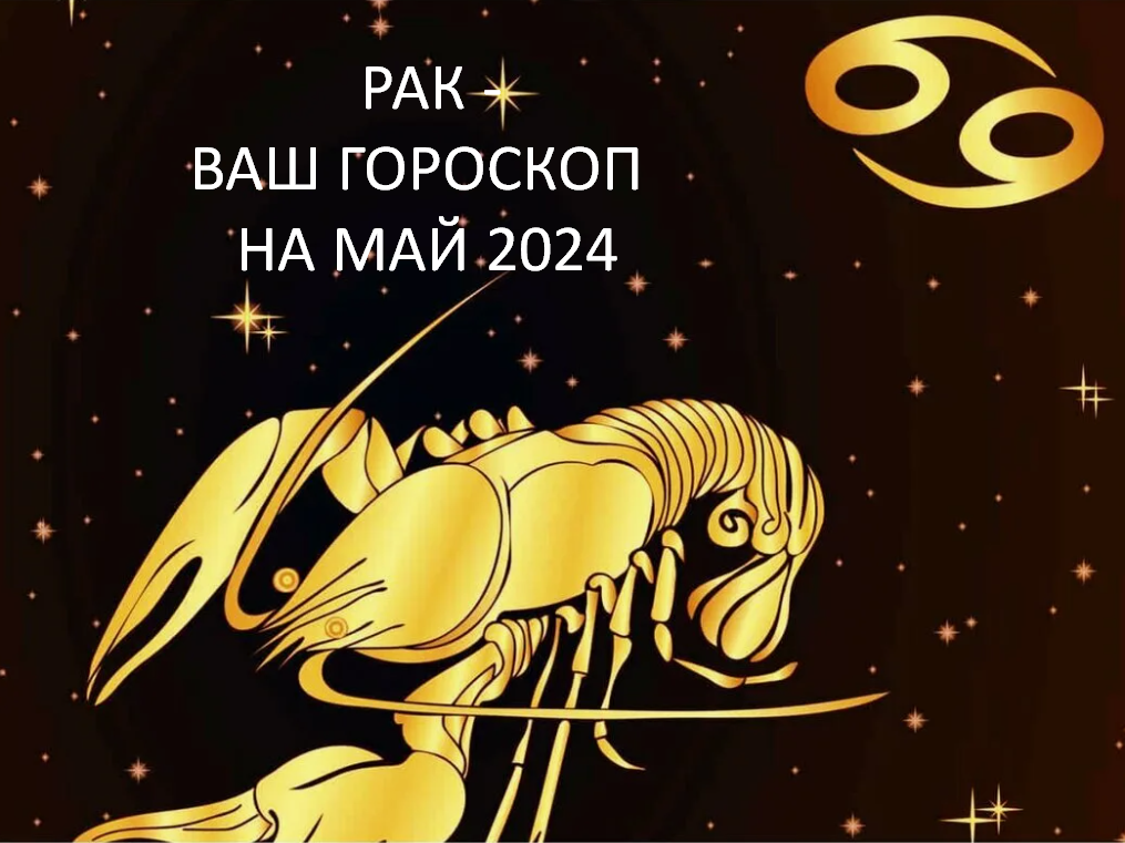 Фото из открытого источника