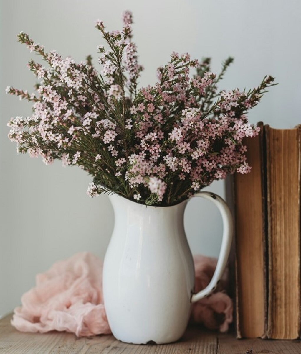 Источник: https://unsplash.com/ 