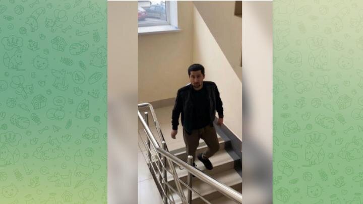 Фото: скриншот телеграм-канала "Многонационал"