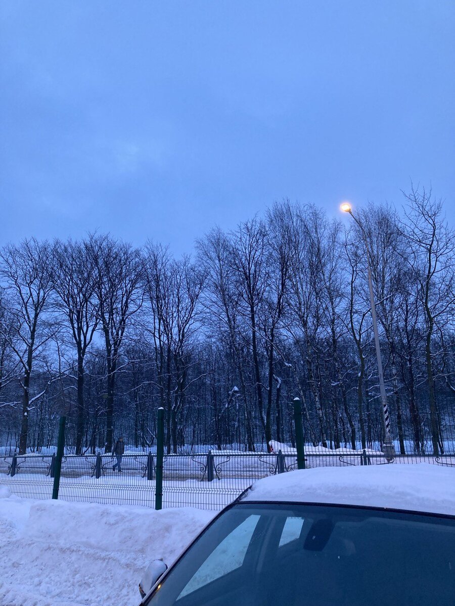 Из личного архива автора Lady.