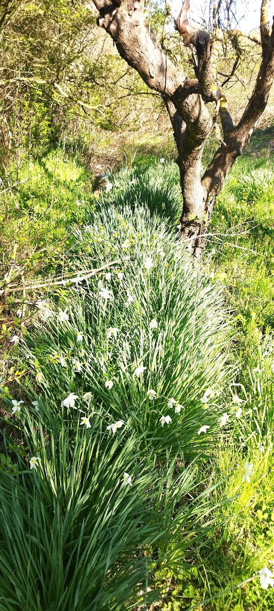 Первая половина апреля 2024 года.