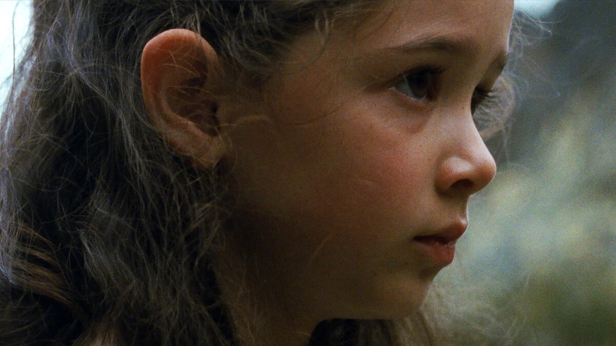 Кадр из фильма "Морская трава"