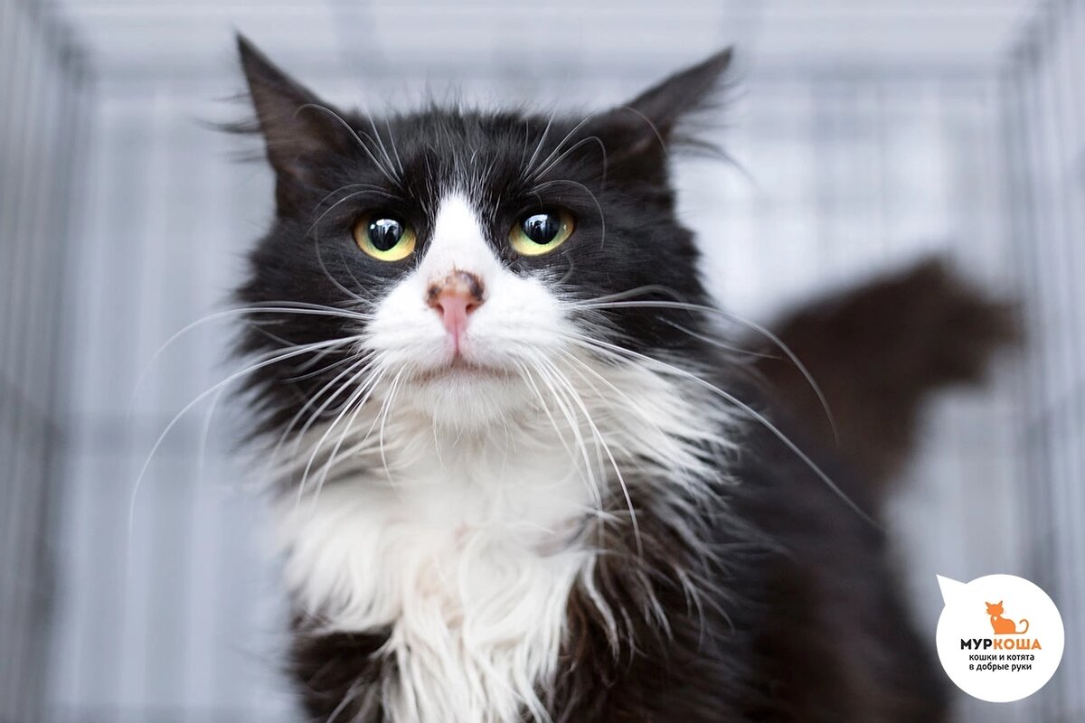 Микстуру нашли на улице.