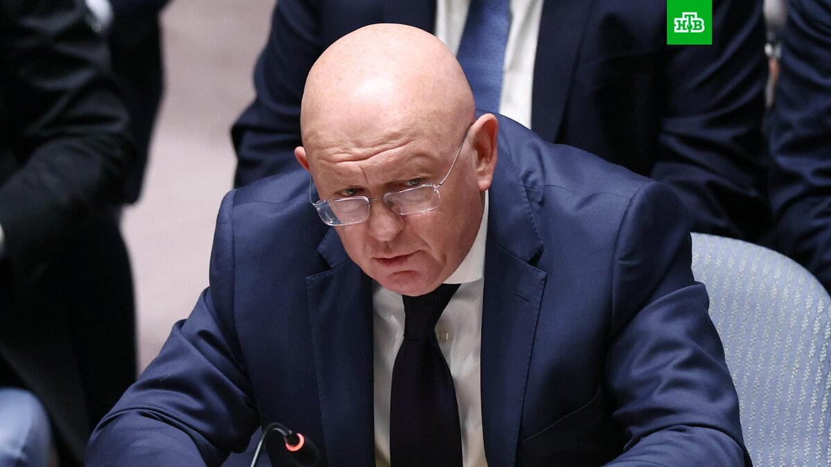    Фото: РИА Новости © 2024, Валерий Шарифулин