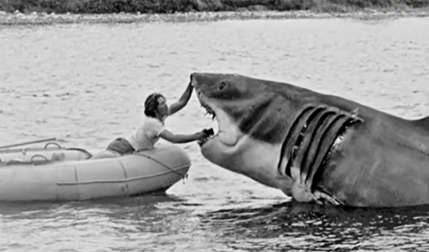 Если спросить у зрителей, какой фильм про акул является самым популярным, то я уверен на 100%, что большинство из них назовут ленту Стивена Спилберга "Челюсти". И они будут правы.-2