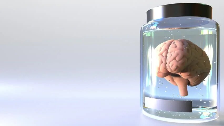https://ak.picdn.net/shutterstock/videos/33767281/thumb/6.jpg