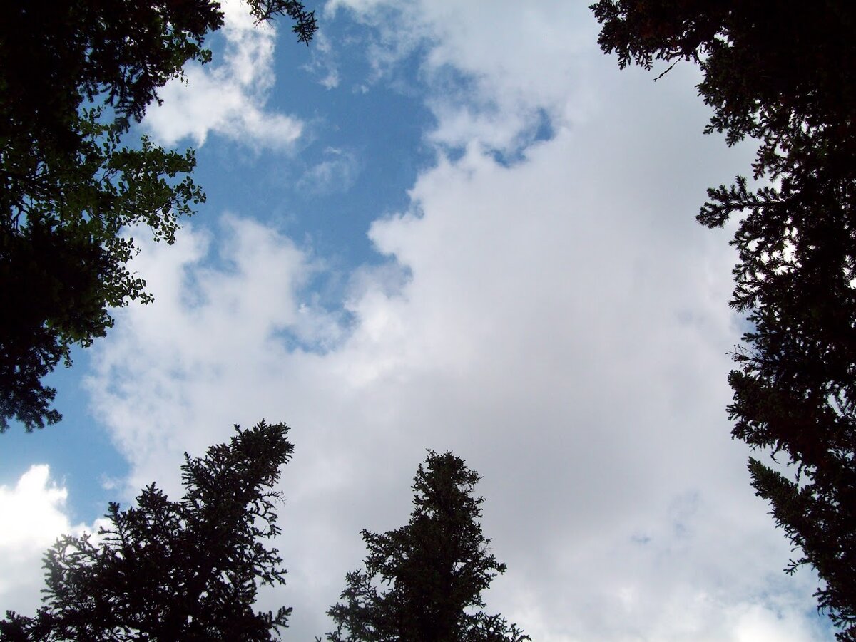 Проблемы - путь наверх