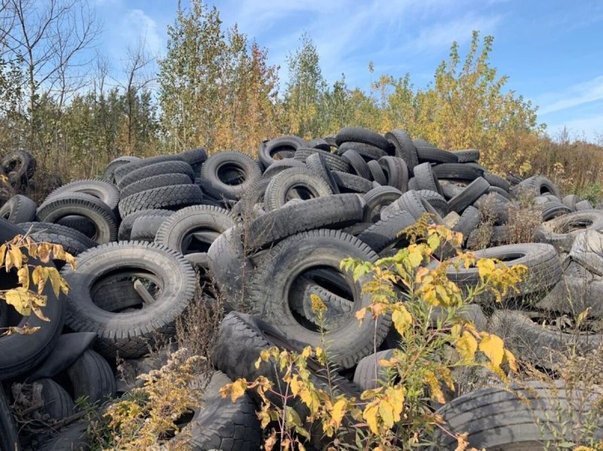 Куда сдать покрышки на утилизацию. Свалка покрышек. Старые покрышки. Автомобильные покрышки свалка. Отходы резины.