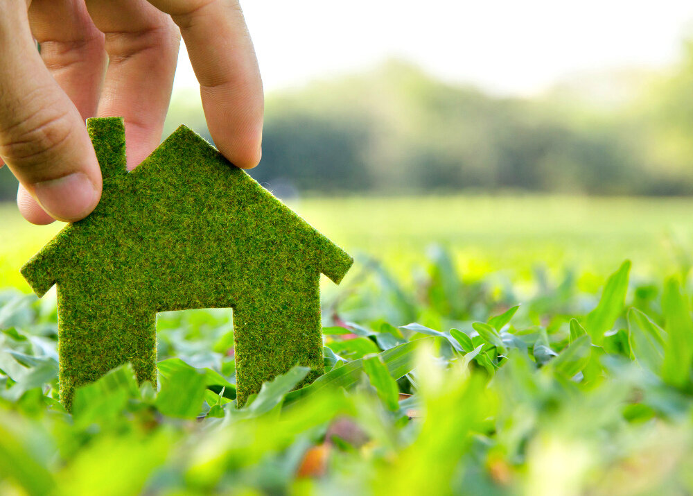 Взято в интернете