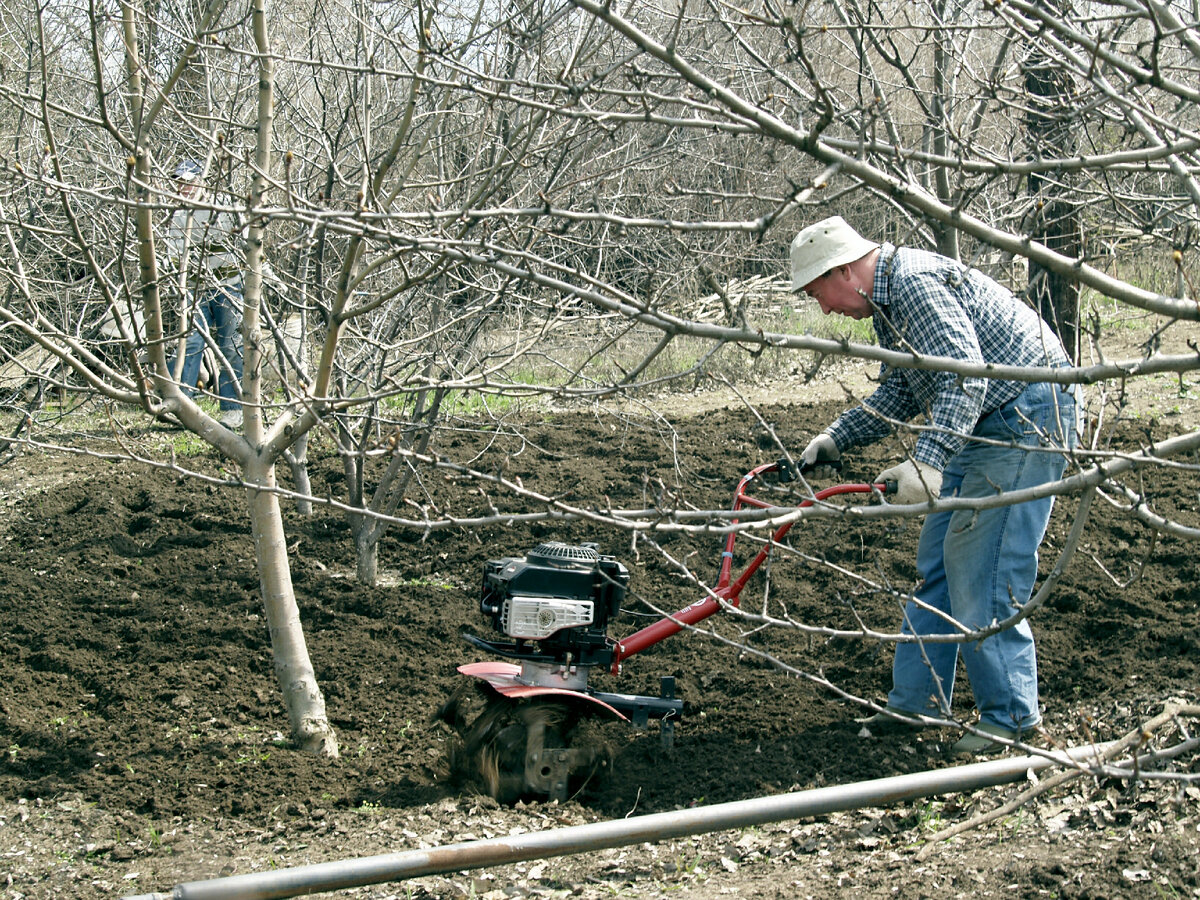 Alexander Legky/Global Look Press