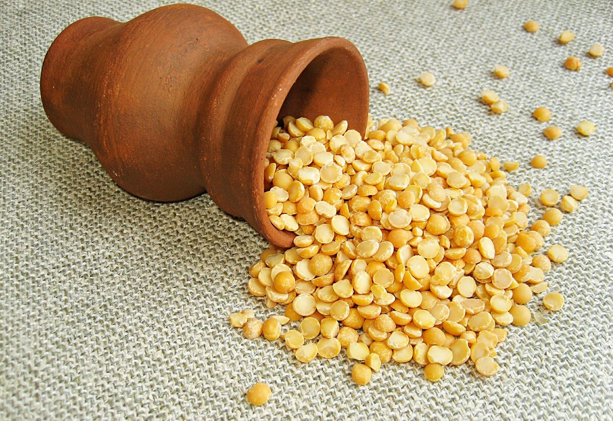 Galina Barbieri/Global Look Press 