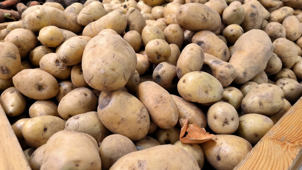    Фото: Maksim Konstantinov/Global Look Press