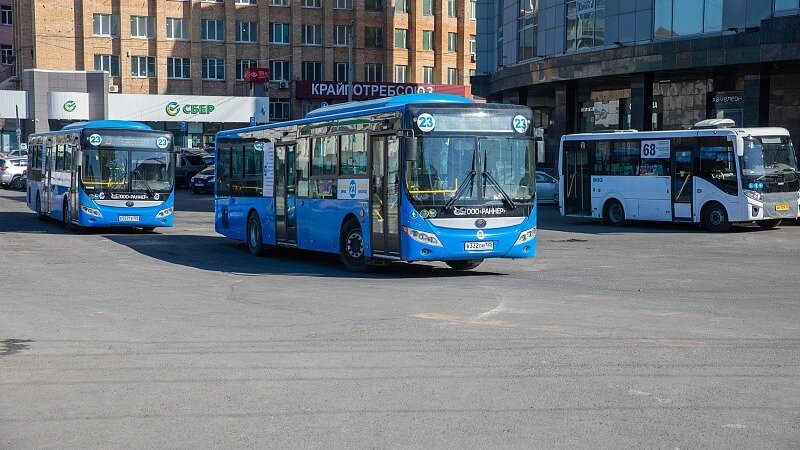     Автор: Анастасия Котлярова Источник: vlc.ru