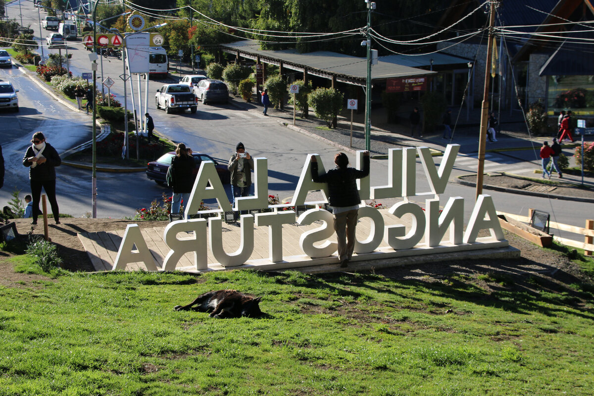 Завершает композицию греющийся на солнце пес