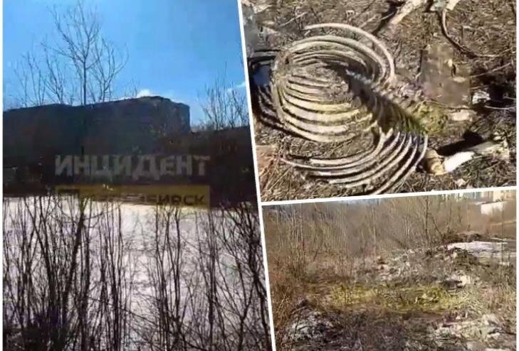    Скриншоты видео паблика Инцидент-Новосибирск