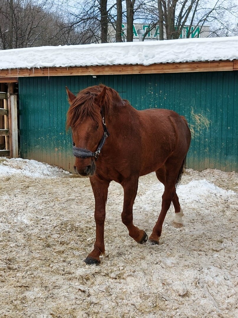 Санаторий "Салампи". Фото: https://yandex.ru/maps Автор: Ирина Крайнова