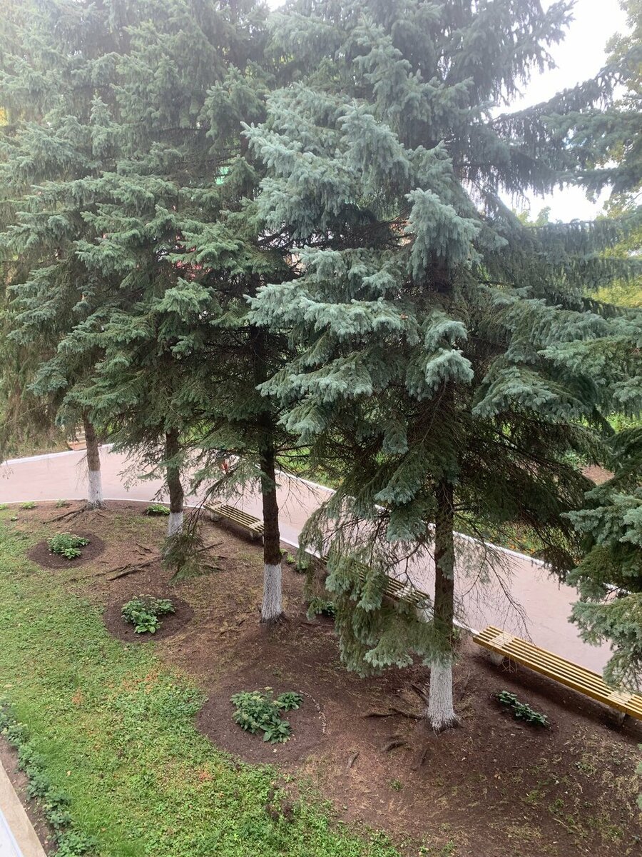 Санаторий "Салампи". Фото: https://yandex.ru/maps Автор: Марат Камалутдинов