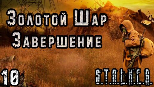 Появилось видео с дракой автомобилистов-грабителей с продавщицей в Подмосковье