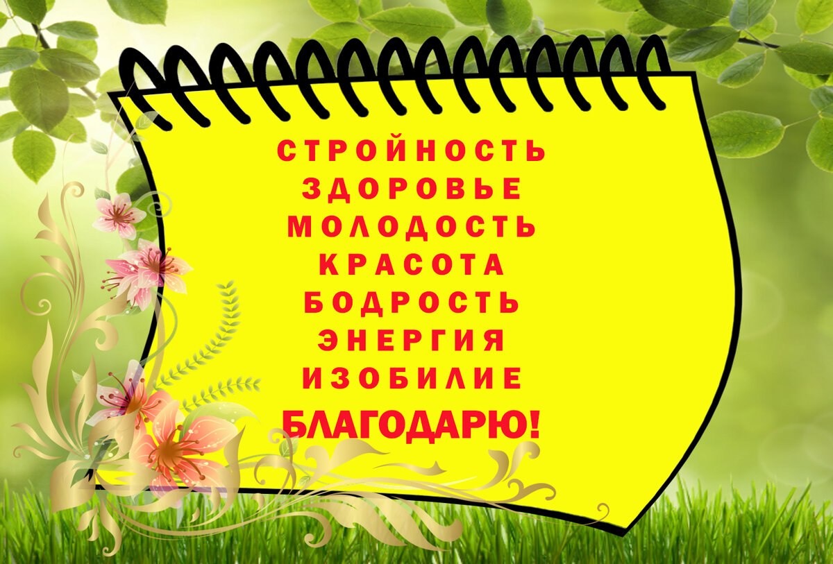 Позитивная аффирмация дня