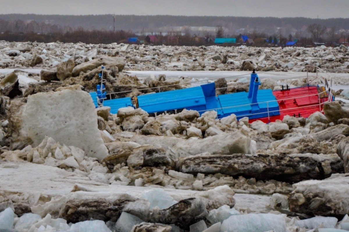    Уровень воды в Томи продолжает снижаться