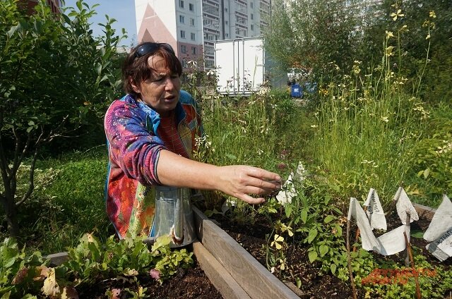    Экоактивистка Надежда Баглей много лет борется за жизнь Сада соловьёв. Фото:  АиФ/ Марина Шнайдер