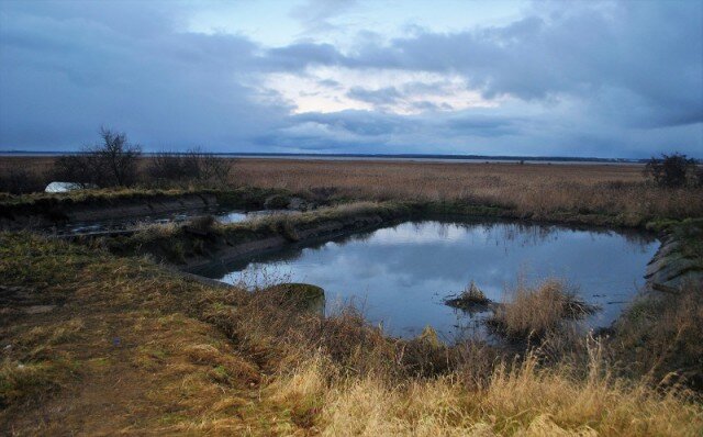   Фото из архива Калининград.Ru