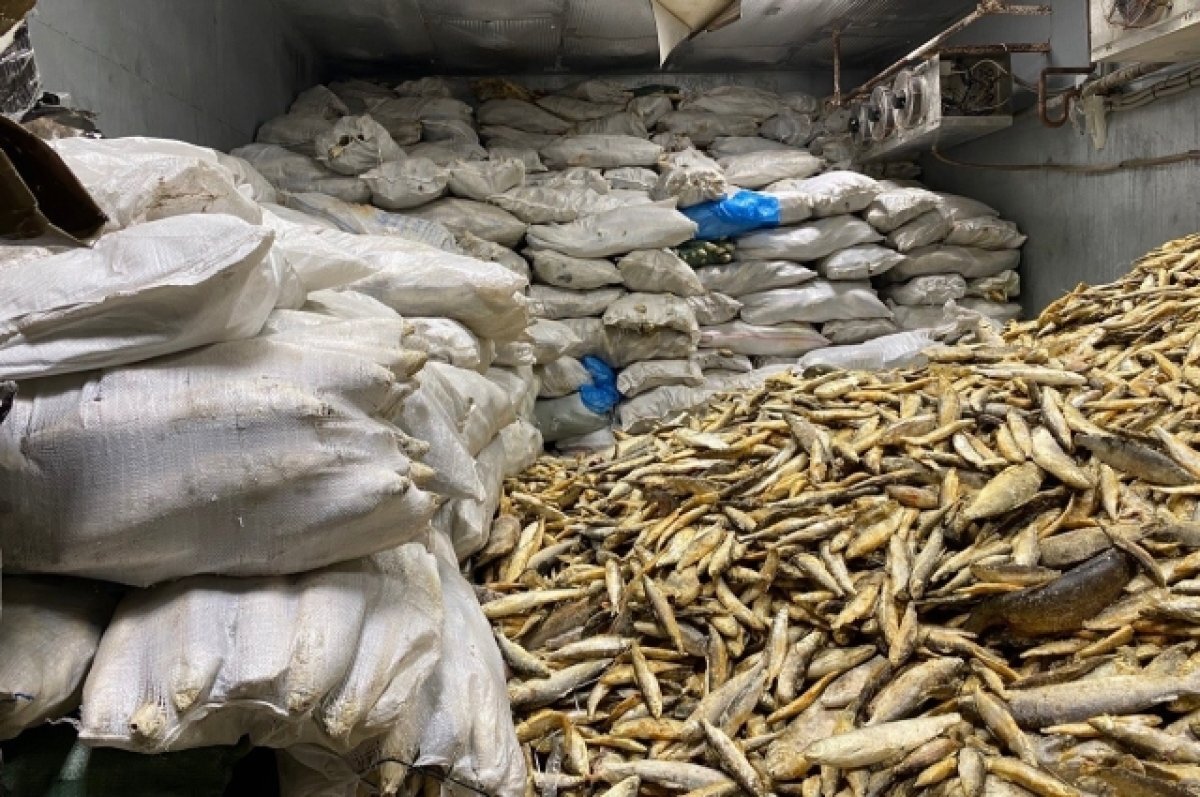    В Тюмени из оборота изъяли немаркированную рыбу на сумму 23 млн рублей