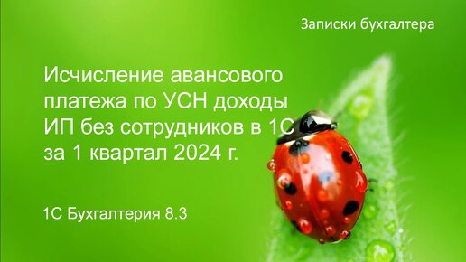 Расчет авансового платежа ИП без сотрудников на УСН доходы за 1 квартал 2024 года в 1С