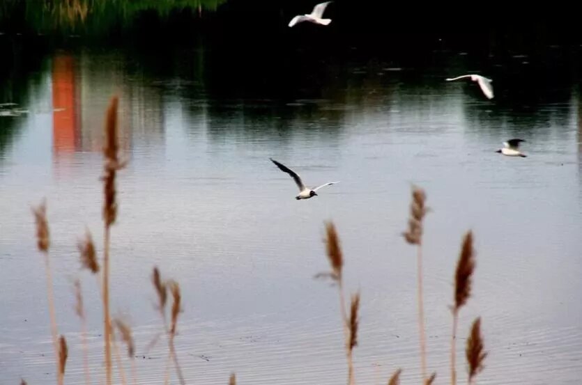 Фото: Валерий Иванов